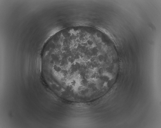 X0000116431219200912291902