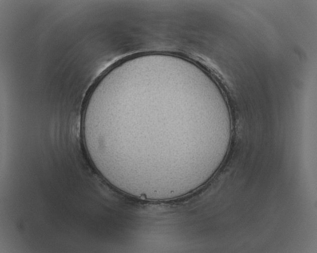 X0000116431220200912291902