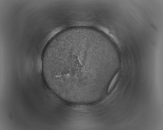 X0000116431221200912291902