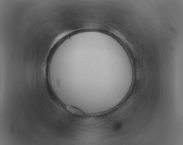 X0000116431222200912291902