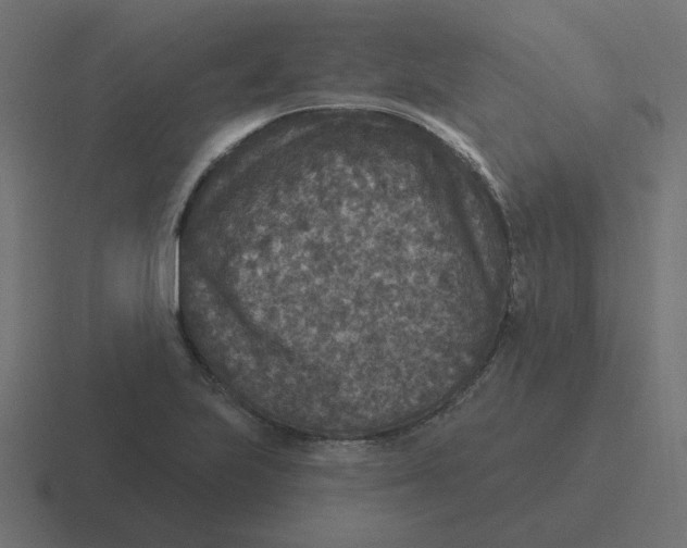 X0000116431223200912291902