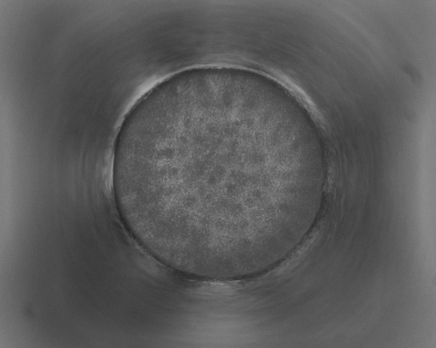 X0000116431224200912291902