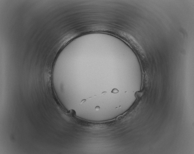 X0000116431225200912291902