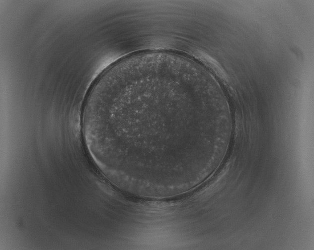 X0000116431226200912291902