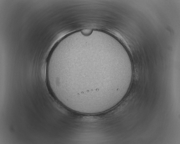 X0000116431227200912291902