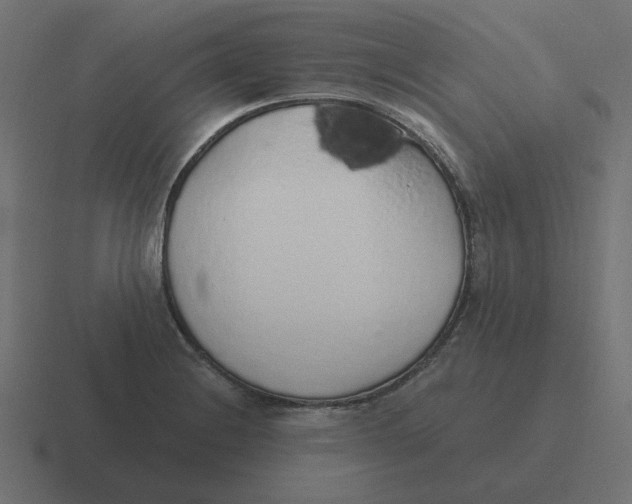 X0000116431228200912291902