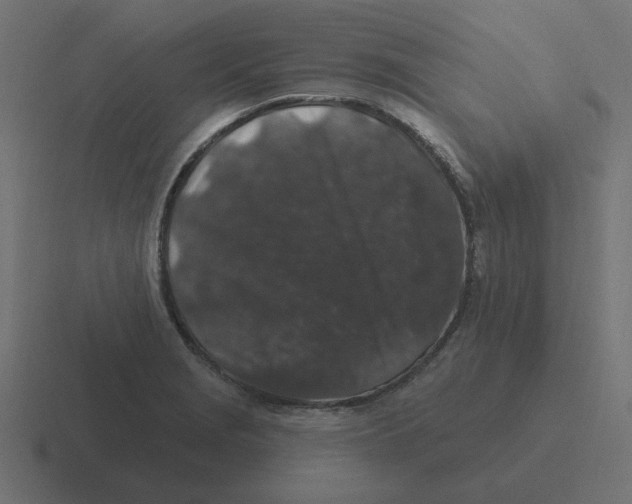 X0000116431229200912291902