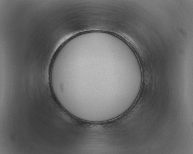 X0000116431230200912291902