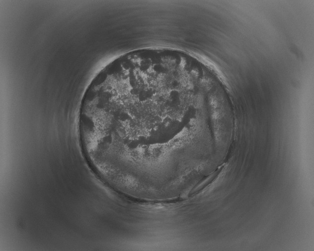 X0000116431231200912291902