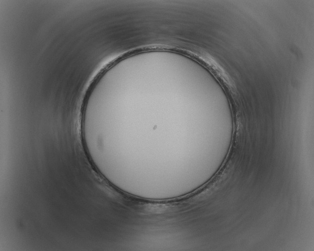 X0000116431232200912291902