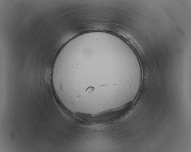 X0000116431233200912291902