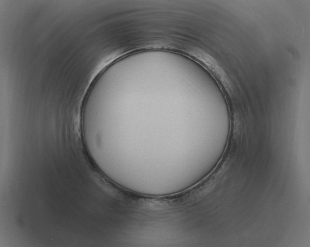 X0000116431234200912291902