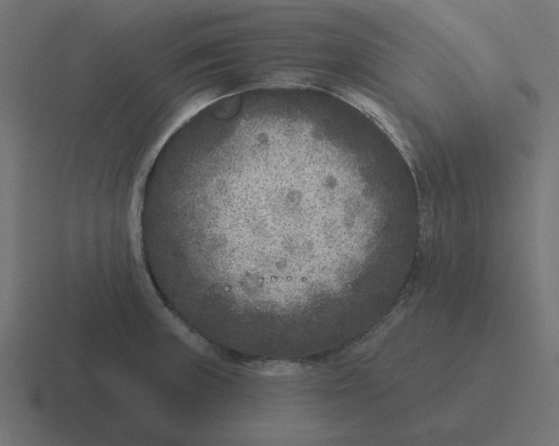 X0000116431235200912291902