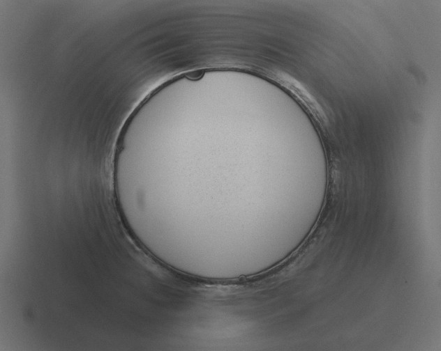 X0000116431236200912291902