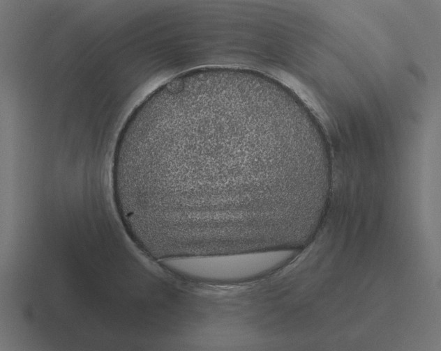 X0000116431237200912291902