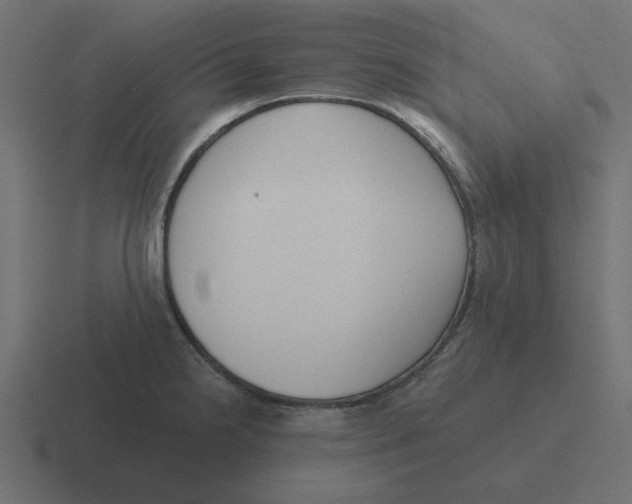 X0000116431238200912291902