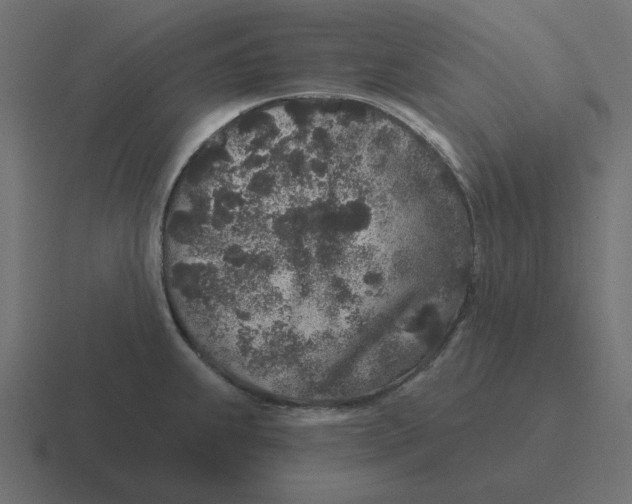 X0000116431239200912291902