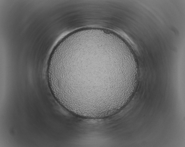 X0000116431240200912291902