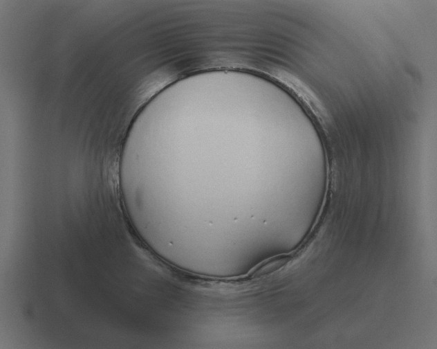 X0000116431241200912291902