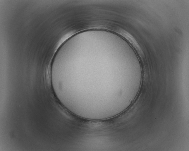 X0000116431242200912291902