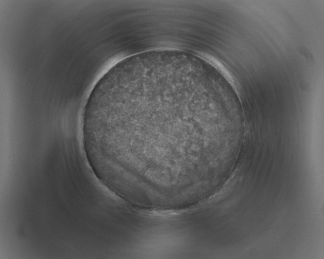 X0000116431243200912291902