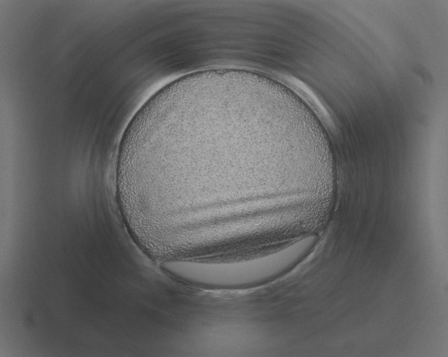 X0000116431244200912291902