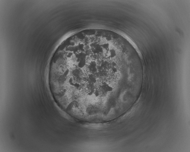 X0000116431245200912291902