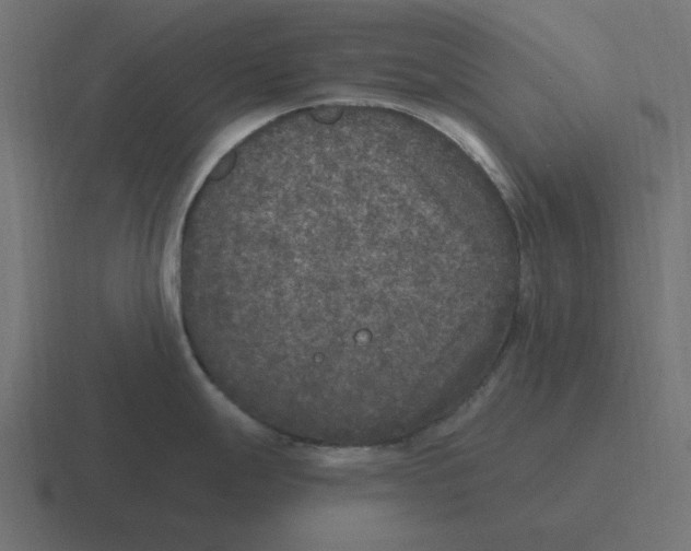 X0000116431247200912291902