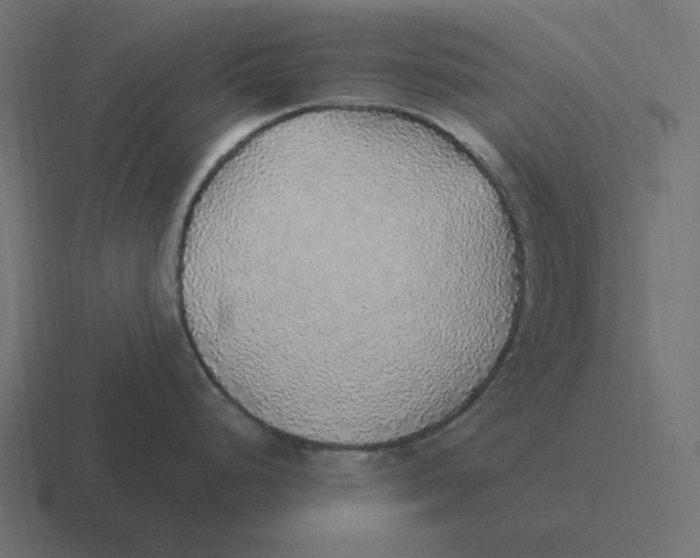 X0000116431248200912291902