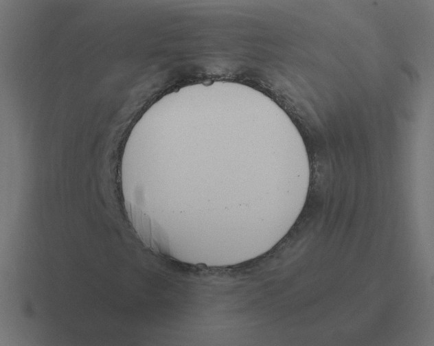 X0000116431249200912291901