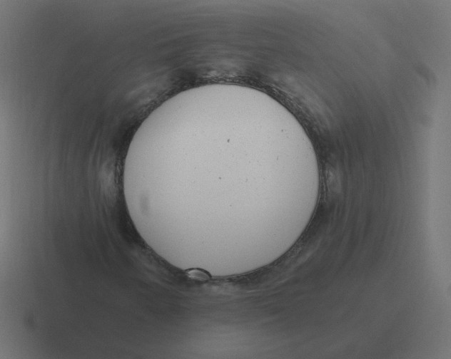 X0000116431250200912291901