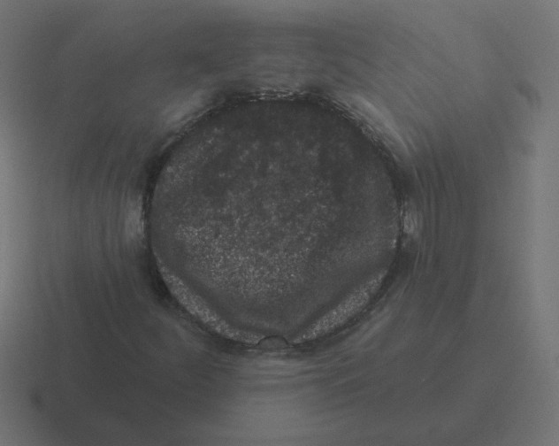 X0000116431252200912291901