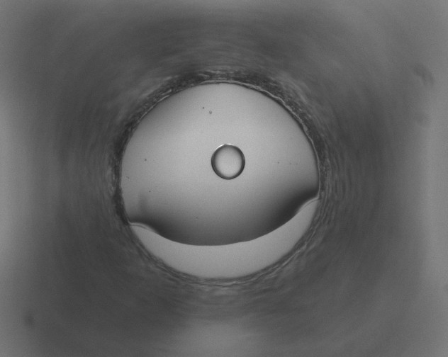 X0000116431253200912291901