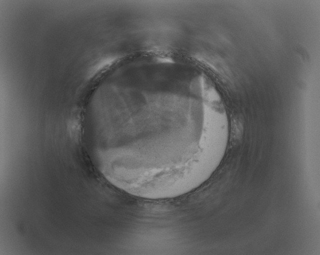 X0000116431254200912291901