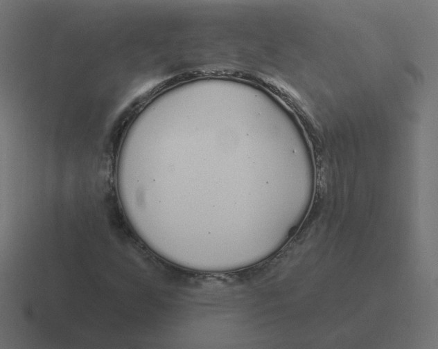 X0000116431255200912291901