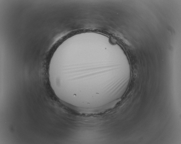 X0000116431256200912291901