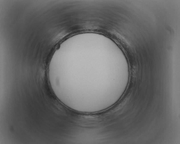 X0000116431257200912291901