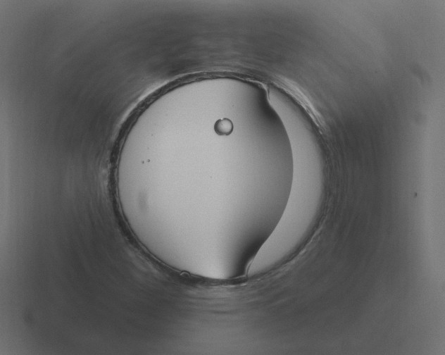 X0000116431260200912291901