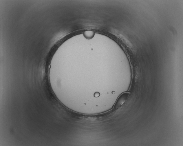 X0000116431261200912291901