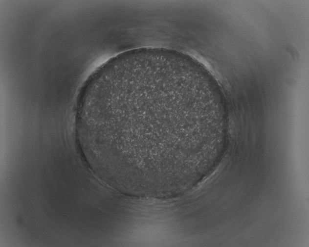 X0000116431263200912291901