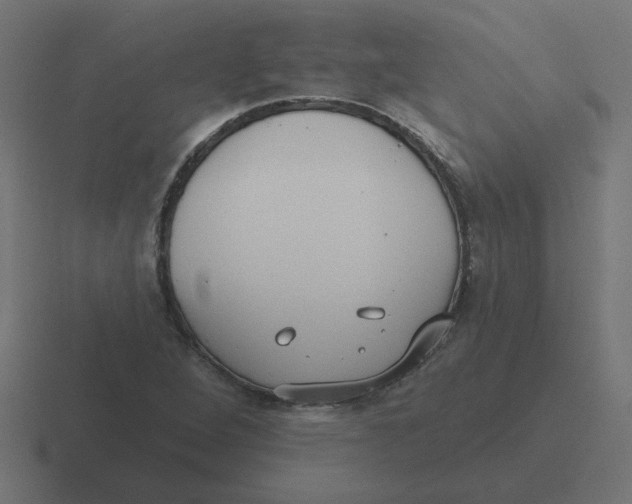 X0000116431264200912291901