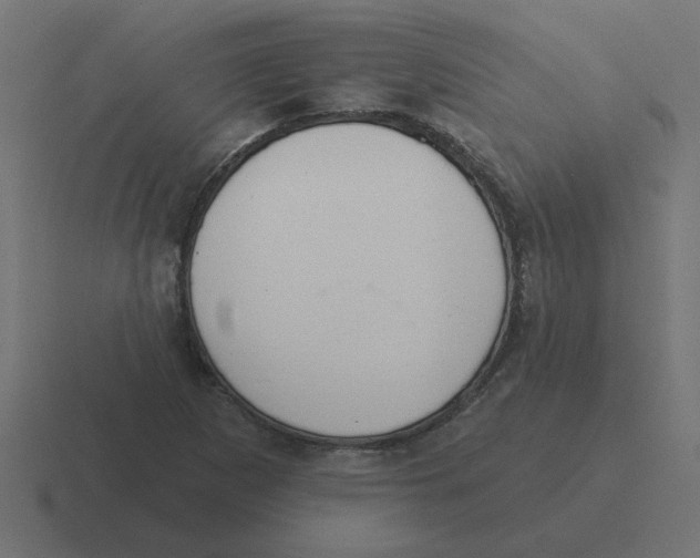 X0000116431265200912291901