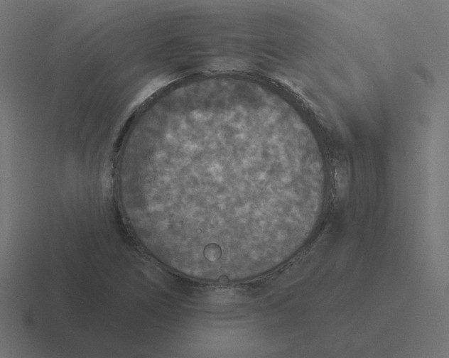 X0000116431266200912291901