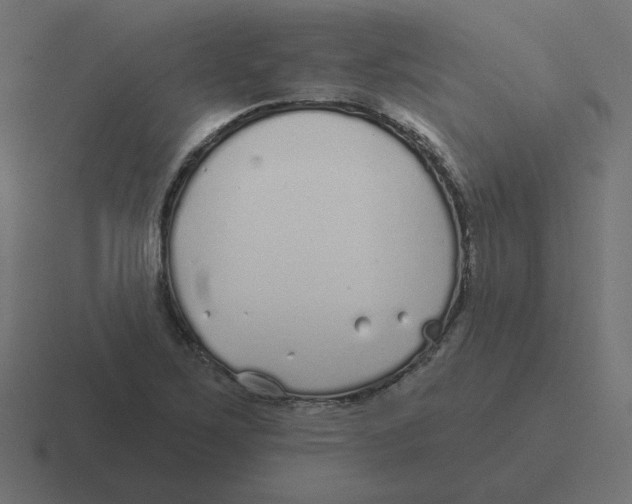 X0000116431267200912291901