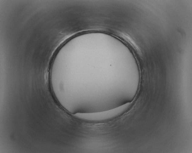 X0000116431268200912291901