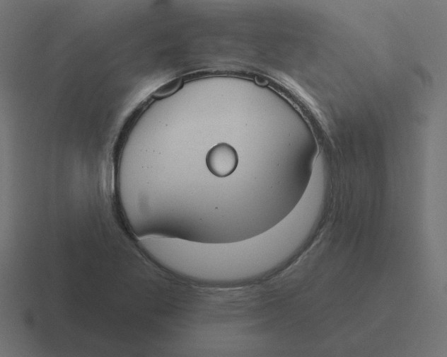 X0000116431269200912291901