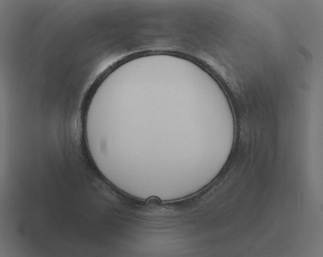 X0000116431270200912291901