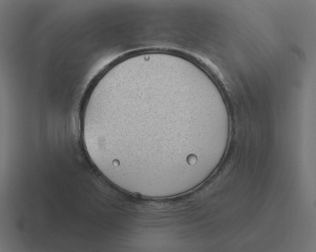 X0000116431271200912291901