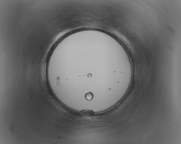 X0000116431272200912291901