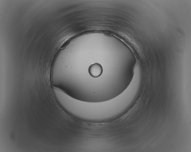 X0000116431273200912291901